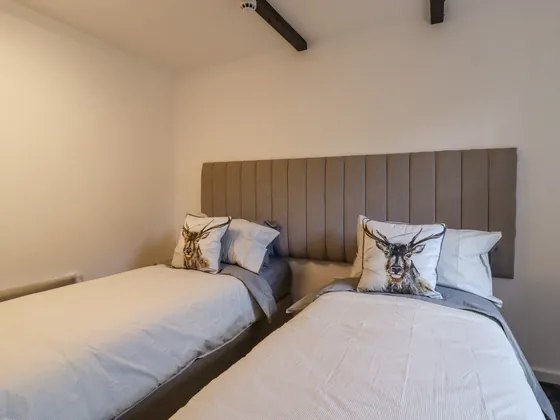 Two single beds with stag print cushions against a padded headboard