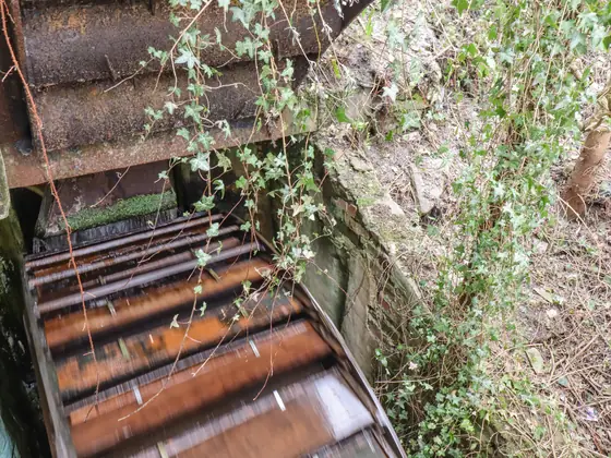 The iron launder trough feeding the waterwheel, overgrown with ivy