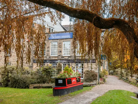 The mill and its lawn seen under the branches of a weeping tree